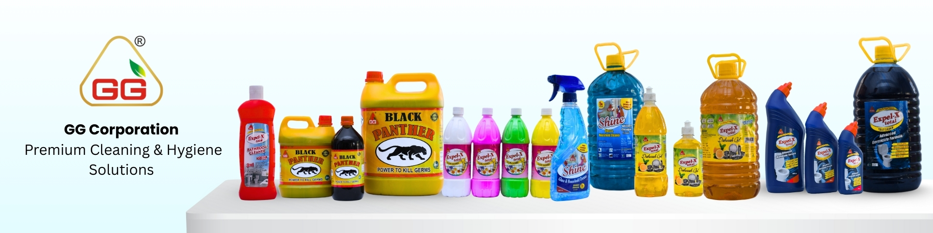 Premium Cleaning & Hygiene Solutions (6)